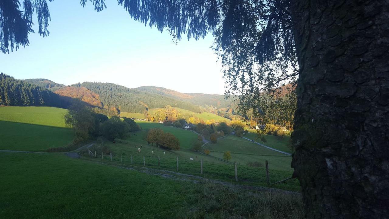 Pension Bergfrieden Schmallenberg Dış mekan fotoğraf