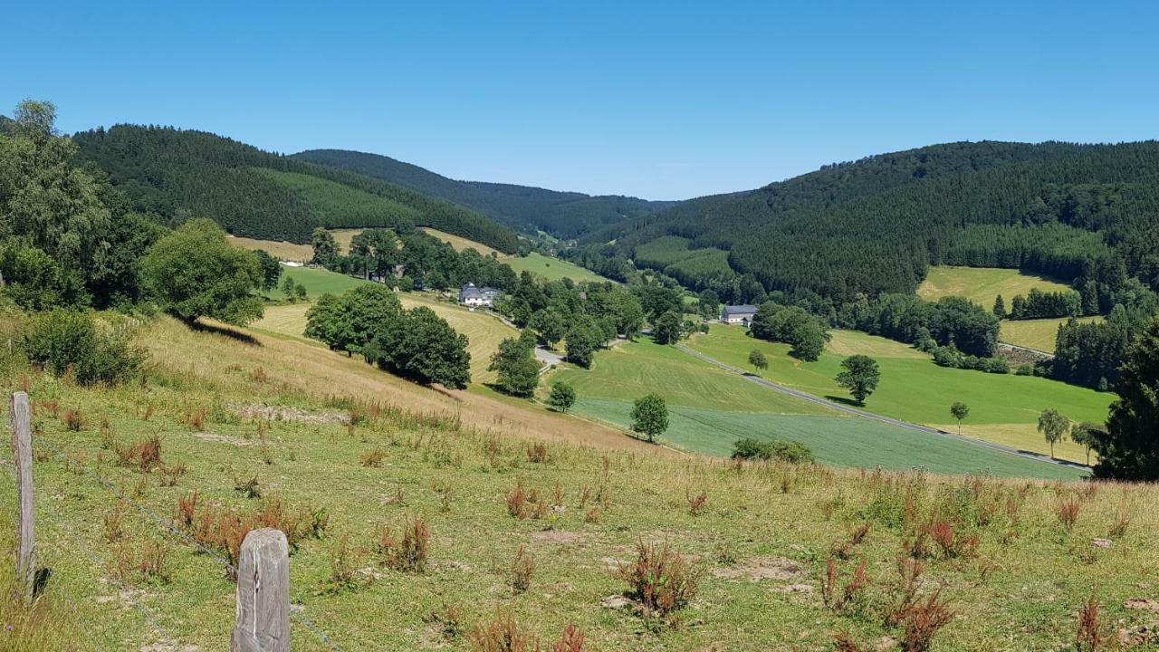 Pension Bergfrieden Schmallenberg Dış mekan fotoğraf