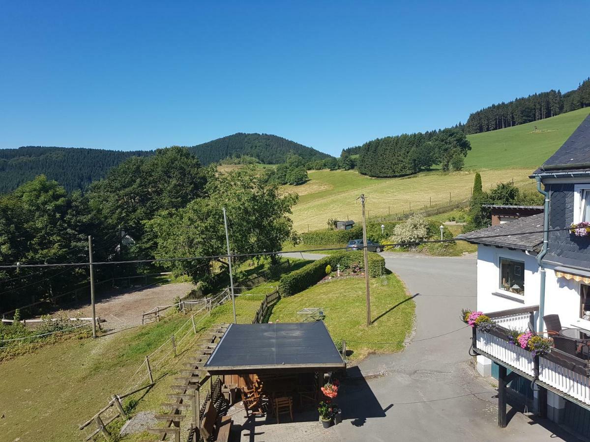 Pension Bergfrieden Schmallenberg Dış mekan fotoğraf
