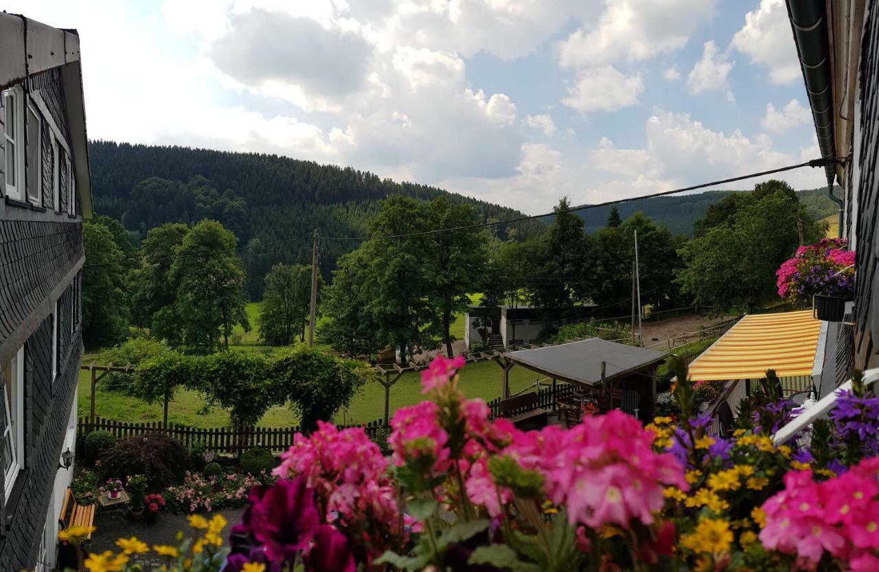 Pension Bergfrieden Schmallenberg Dış mekan fotoğraf